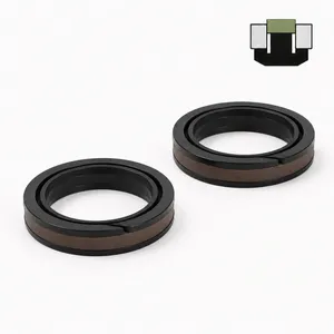 Shock Resistant Piston Sealing Assembly Spgw Piston Hydraulic Seal for Bulldozer Cylinders