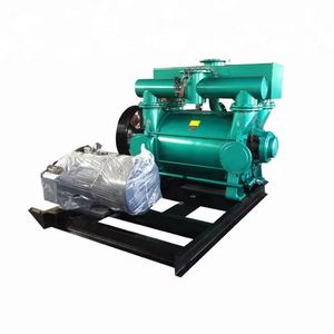 Cast Iron/Stainless Steel Water Ring Vacuum Pump