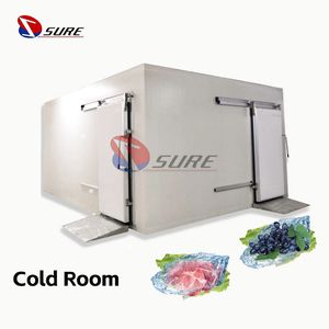 High Quality Chicken and Meat Cold Room Fish Cold Storage Freezer Container