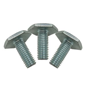 20 Years Fastener Factory Custom Bolt OEM Service