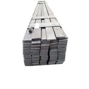 High Quality Promotional Flat Steel/Professional Galvanized Flat Steel/Strip Steel