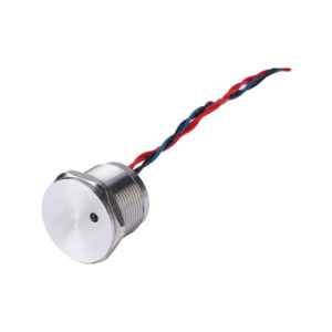 19mm Stainless Steel Momentary LED 1no Illuminated 12V Piezo Switch