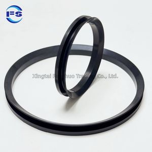 Va Vs Ve Water Seal and Dust Seal Shaft Ring Seal for Hydraulic Motor and Pump Va40 NBR FKM Oil Seal