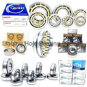 Fbj Koyo NACHI NTN NSK Bearing Thrust Deep Groove Ball Bearing Timken Tapered Cylindrical Spherical Roller Bearing with Bearing SKF Technology