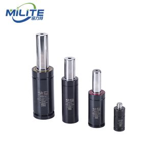 Premium Gas Springs for High Quality Stamping Die Press