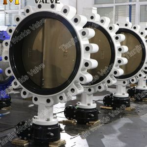 Flanged Connection Stainless Steel Lugged Oil Gas Safety Butterfly Valve