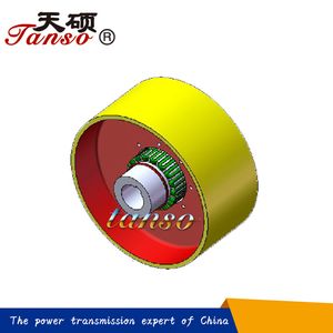 High-Performance Flexible Coupling with Advanced Brake Wheel System
