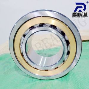 Cylindrical Roller Bearing 52732 160X320X108/123mm