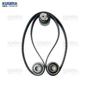 Factory Direct Auto Engine Part Timing Belt Set for Land Rover Jaguar 306dt 3.0t Diesel Old Type Lr016656