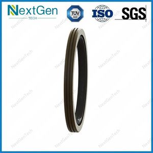 Hydraulic Rotary Seal Eo Glyd Piston Seal PTFE Bronze NBR/FKM Eo Rotary Ring Type Seal