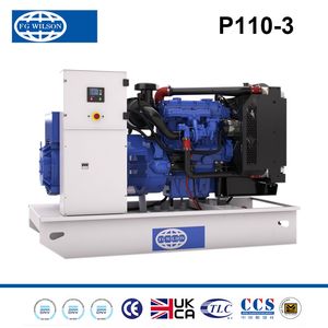 P110-3 Small Power Open Type Fg Wilson Diesel Genset with Stable Power