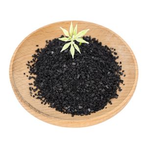 Nut Shell Activated Carbon High Strength Low Moisture and Filling Efficiency