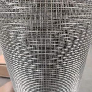 Heating Resistant 20 30 60 150 Mesh Fine Plain Woven Mesh/Tungsten Wire Cloth/Tungsten Wire Mesh