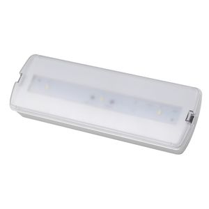 CE Certificate High Lumen Battery Operated Emergency LED Bulkhead Light
