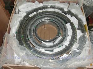 Standarded Metal Spiral Wound Gasket Used in Flange, Pipe, Valve, Pump