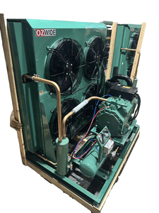 Air Cooling Condensing Unit Acompressor for Freezer Compressor Air Conditioner