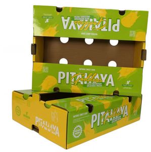 Rdy Custom Corrugated Dragon Fruit Packaging Box for Fresh Produce Shipping