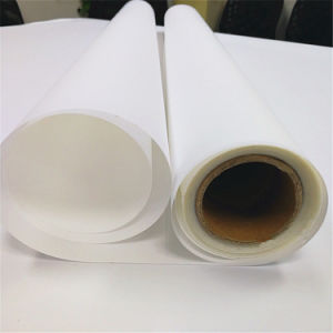 Printing Backlit Pet Film for LED Light Box /Roll up