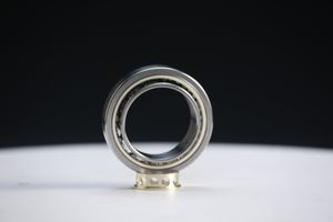 Zys Nn Types Cylindrical Roller Bearing Nn3028 From China Bearing Factory Nu3028m