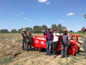 High-Efficiency Diesel 4u-180d Potato Harvester for Agriculture