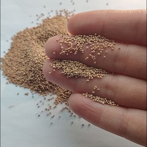 Walnut Shells and Corn COB for Water Filtration, Pet Bedding, Polishing and as Natural Abrasives for Sandblasting