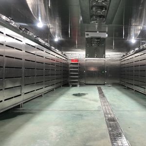 Low Temperature High Humidity Food Thawing Machine for Meat Processing