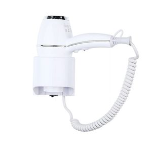 Fireproof ABS Housing Hair Dryer for Professional Hair Care Use