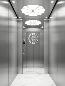 Commercial Elevator with Hairline Stainless Steel Passenger Elevator