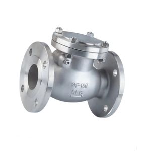 Corrosion-Resistant Swing Check Valve Customizable Valve