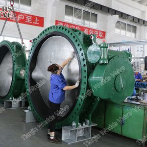 Awwa C504 Wafer Lug Double Flanged Butterfly Valve with C954 C950 C955 B148 Disc