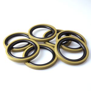 Double-Acting Bronze Filled PTFE for NBR Oil Seal Piston Sea