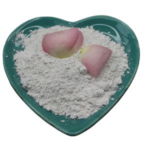 Ultra Fine Ceramic Grade Talc Powder for Filler Applications