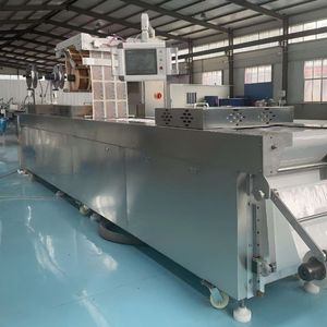 Sac Vacuum Packaging Line Meat Stretch Film Vacuum Packing Machine Thermoforming Vaccume Sealer Machine for Fish