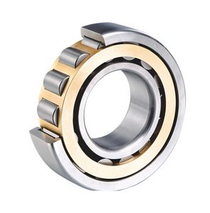 Single Row Cylindrical Roller Bearings, Nj221, Nj221e, Nj321e for Electric Motor, Gearbox, Reducer, Compressor
