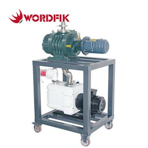Wordfik Customized Two-Stage Rotary Vane Roots Vacuum System for Vacuum Coating Machine Metallurgy High Vacuum Pump System