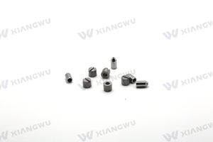 Tungsten Carbide Micro Hole Spray Nozzle