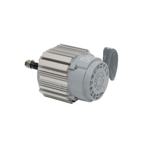 Professional Gofee Exhaust Fan Motor CE UL/cUL Certificated Ec Motor Permanent-Magnet Synchronous Motor