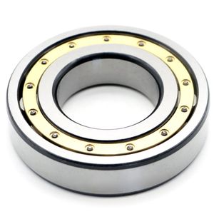 Factory Price Cylinder Roller Bearing Nu406 Motor Water Pump Cylindrical Roller