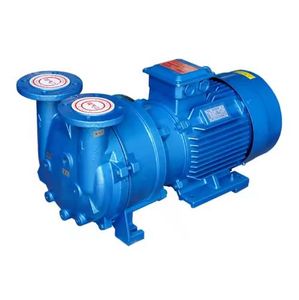 High-Pressure Hydraulic Vacuum Pump 2BV Series High Capacity Air Circulation Automatic Pump Low Noise Liquid Ring Vacuum Pump
