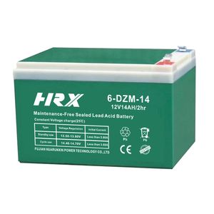 Rechargeable 12V 14ah 6-Dzm-14 Electric Vehicle Battery