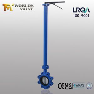 Stainless Steel Lug Type Butterfly Valve with Extended Stem