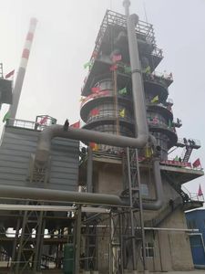 China Manufacturers 100-1600tpd Low-Consumption Double Hearth Twin-Shaft Pfr Lime Kiln