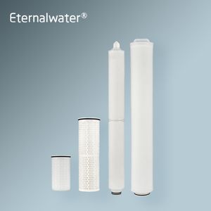 100% Integrity Test PP/Pes/PTFE/PVDF Pleated Cartridge Filter with High Dirt Holding Capacity for Power Plant Water Treatment