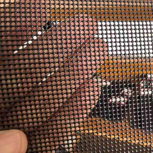 Stainless Steel Security Window Screen Protective Metal Woven Wire Mesh Sheet for Window & Door Welded Floating Dust & Security