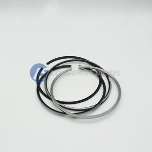 High Quality Piston Ring Kit 3801755 Diesel Engine Part for Cummins Nt855