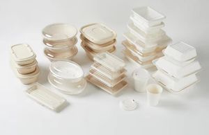 Compo-Stable Biodegradable to Go Food Container Disposable Take Away Takeout Bagasse Hinge Lunch Box