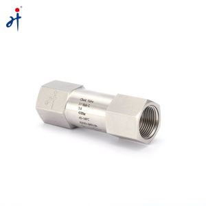 3000psi High Pressure Check Valves 316 Stainless Steel Check Valve