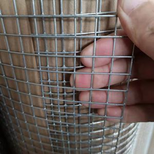 Factory Direct Low Price Galvanized Steel Welded Wire Mesh Fence