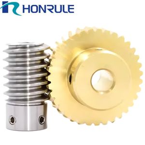 Custom Industrial Non-Standard Worm Shaft Drive Pinion Helical Worm Gears