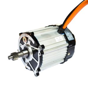 China Motors High Quality 60V 1000W Electric Tricycle Vehicle BLDC Brushless DC Gear Electric Tricycle Motor